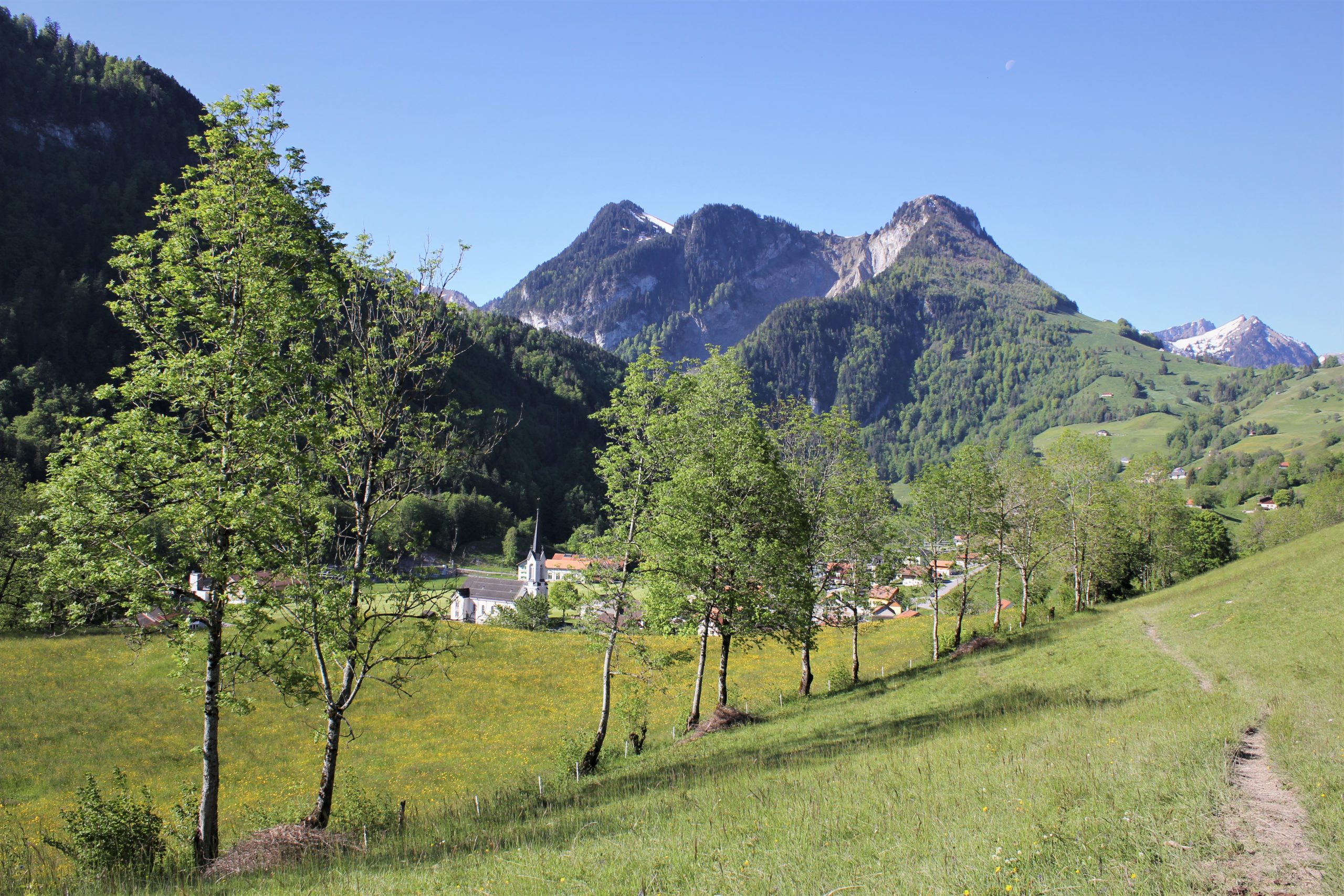 tour du lac de lessoc course